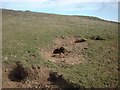 Animal holes near the top of Doon Hill