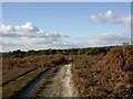 Picket Hill, cycle track