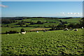 View to the east from Gaer Hill