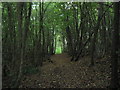 Footpath in South Hurst