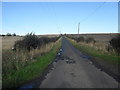 Country road in the Borders