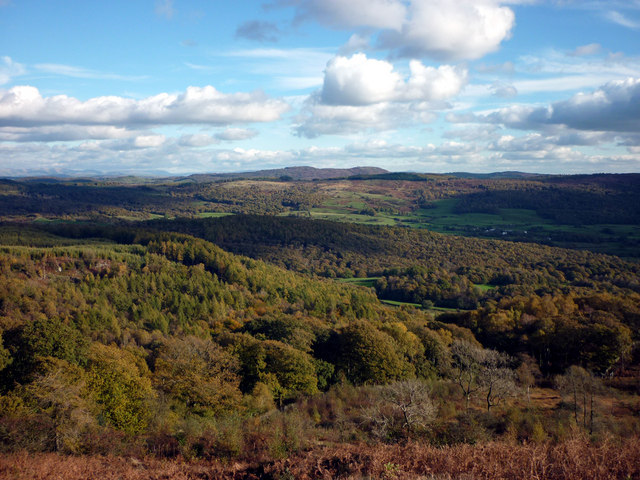 The view east over Bell Beck to the Rusland Valley