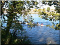 Sculling on the Thames, near Kew