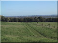 Path across Wytham Park