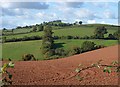 Valley below Fursdon