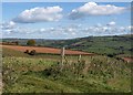 Fence and view, Northdown Road