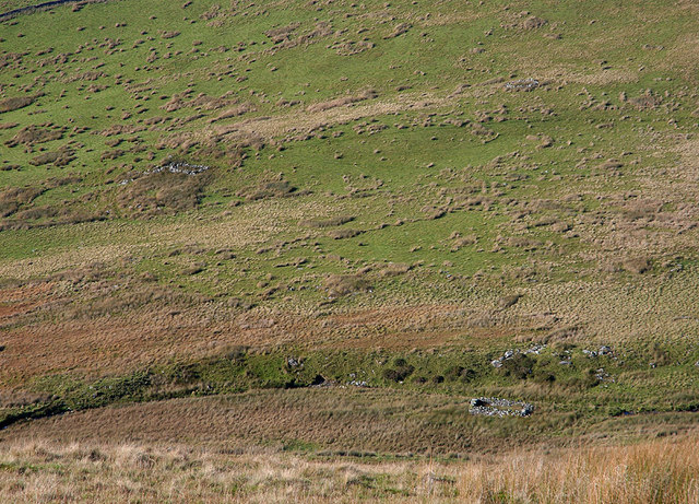 Sheepfolds by the Afon Gwril