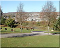 Silver birches, Varteg Road cemetery, Blaenavon