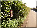 Silton: postbox in the hedge