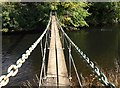 SS9405 : Footbridge over the Exe by Derek Harper