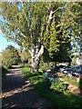 The Thames Path, heading towards Lonsdale Road Reservoir