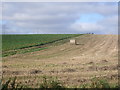 Farmland near Wester Badentyre