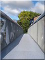 Footbridge at Blackwall Basin