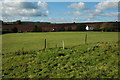  : Cottages and farmland by Philip Halling