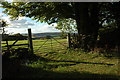 Field entrance at Whitelye