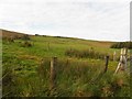 Corkey Townland