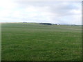 Farmland near Hillhead of Litterty