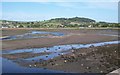 The Estuary of The Carrigs River from the Downshire Bridge