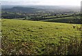 Field and view above Beacon Cross