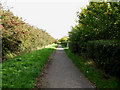 Sweyne Park Bridleway