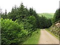 NN9604 : Logging road, Glen Sherup by Richard Webb