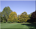 Bantock Park at Bradmore, Wolverhampton