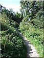 A footpath to the coast at Bouldnor