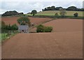 Farmland, Appledore