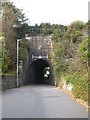 Carn Brea railway bridge