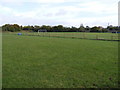 TM3977 : Halesworth Recreation Ground by Geographer