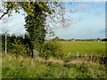 Footpath to Graby