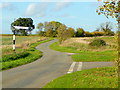 Country lanes