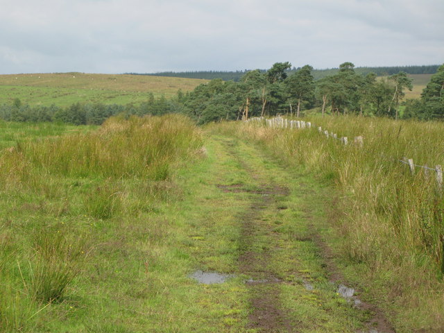 Track near Dumblar Rigg