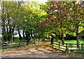 Driveway off Kirby Lane