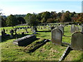 Wisborough Green St Peter ad Vincula- churchyard (1)