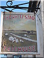 The White Stag, Pub Sign, Monkton (2)