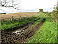 Track to Broadside Park Farm