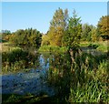 Stobhill Pond