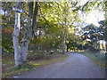 Farm road to Bogbain