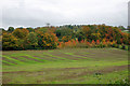 Autumn colours near Hurst Road