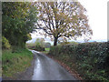 Meifod road from Pen-y-bryn