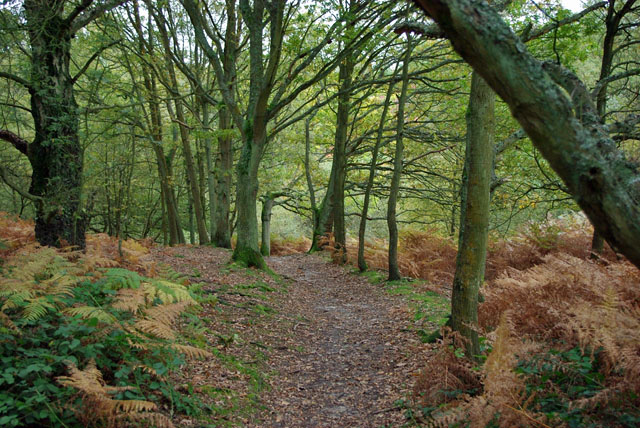 Path, Headley Heath
