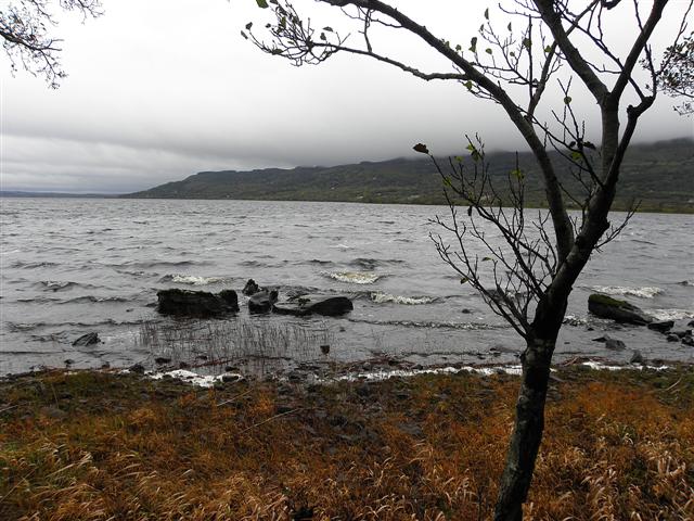 Lough shore at Inishtemple Island