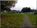 Autumn leaves on the park