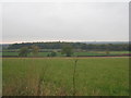 SE9306 : View towards Bow and Arrow Wood by Jonathan Thacker