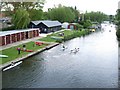 Chelmsford Canoe Club