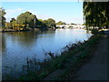 The Thames Path at Richmond