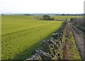 Track to Scholecroft Farm, Morley