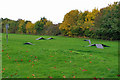 Modest bike jumps, Harvestfield Park