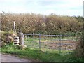 SH1526 : Pwll Ystolhelyg - a kettlehole hidden by willow trees by Eric Jones